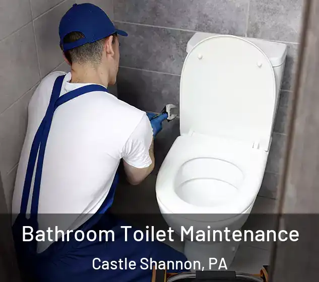  Bathroom Toilet Maintenance Castle Shannon, PA
