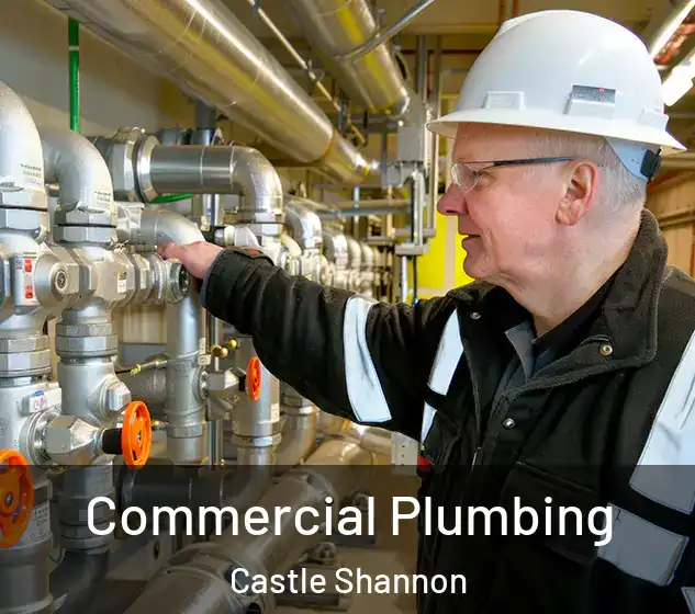  Commercial Plumbing Castle Shannon