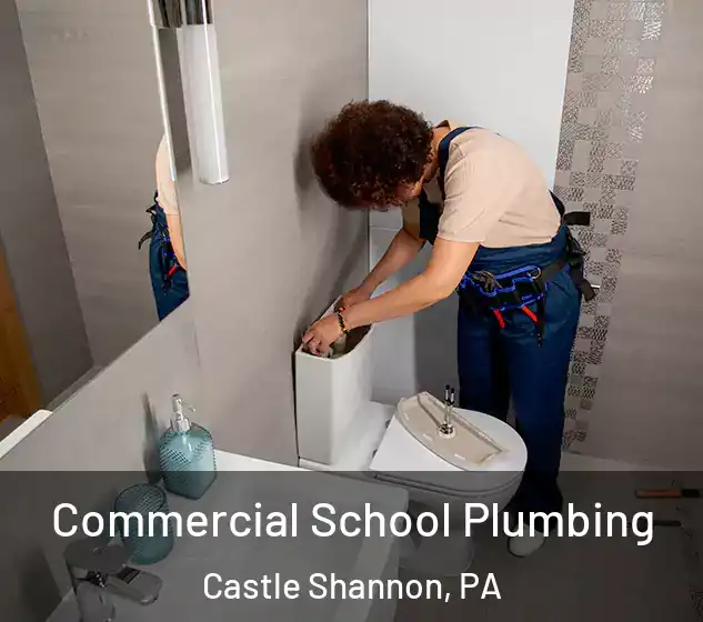  Commercial School Plumbing Castle Shannon, PA