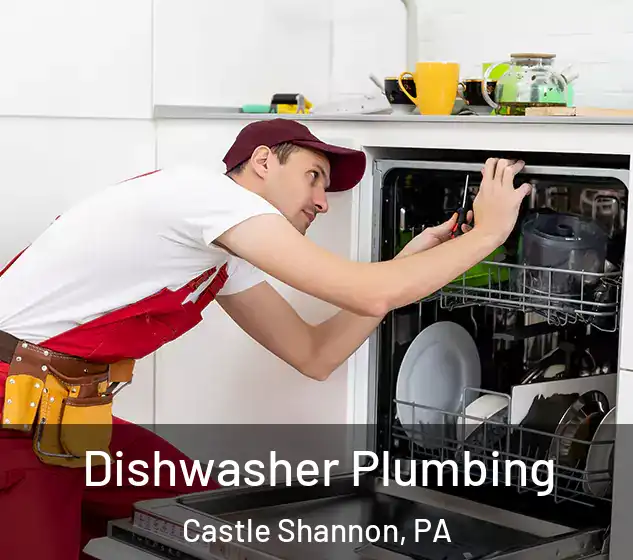  Dishwasher Plumbing Castle Shannon, PA