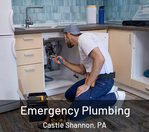  Emergency Plumbing Castle Shannon, PA