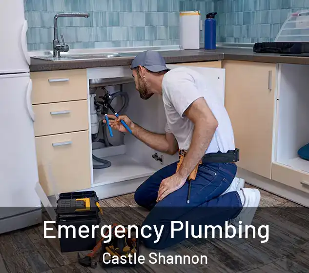  Emergency Plumbing Castle Shannon