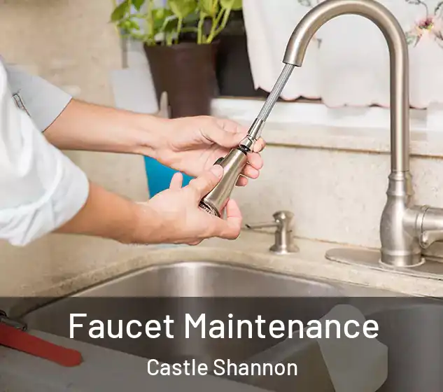  Faucet Maintenance Castle Shannon