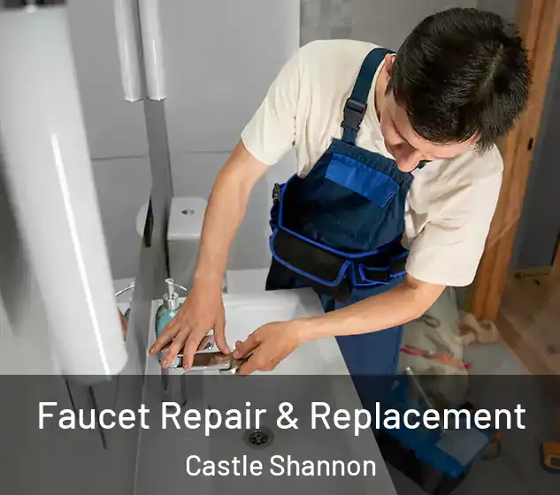  Faucet Repair & Replacement Castle Shannon