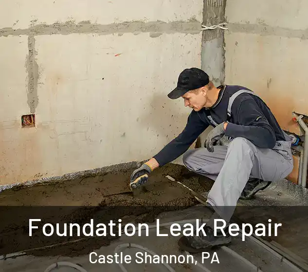  Foundation Leak Repair Castle Shannon, PA