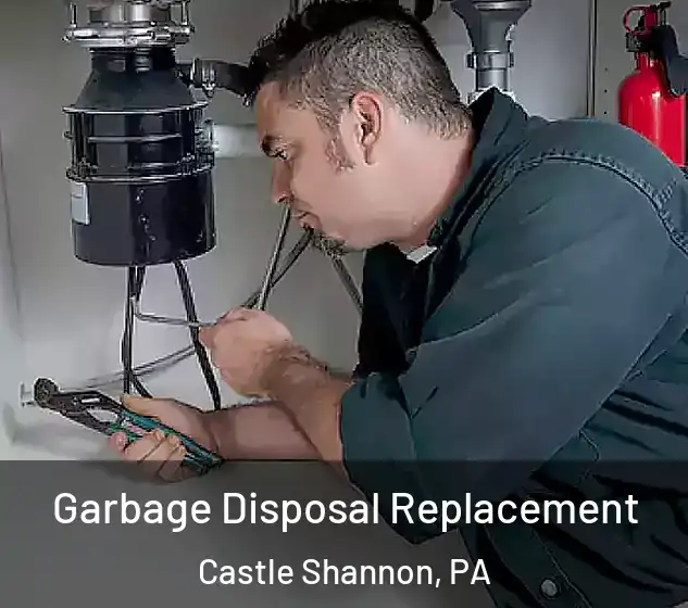 Garbage Disposal Replacement Castle Shannon, PA