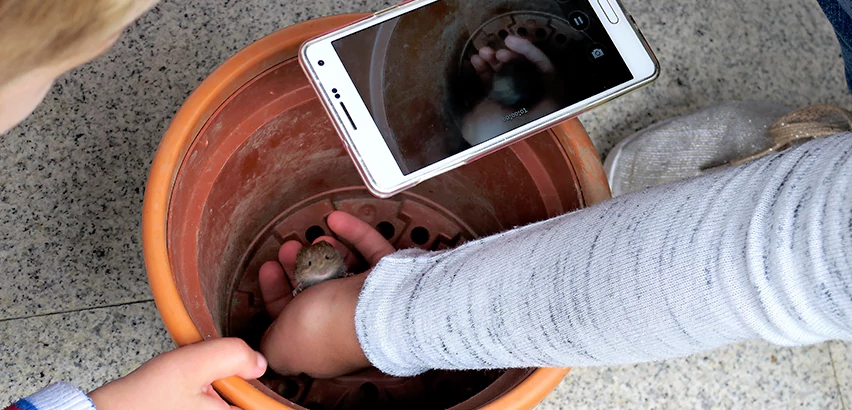 Scope of Drain Camera Inspection Services in Castle Shannon, PA