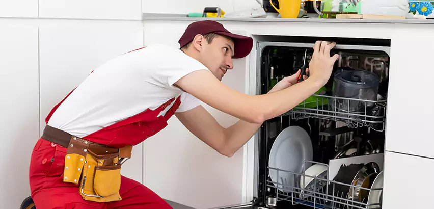Scope of Kitchen Dishwasher Installation Services in Castle Shannon, PA