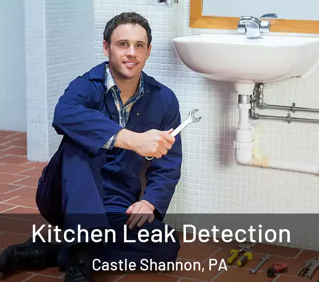  Kitchen Leak Detection Castle Shannon, PA
