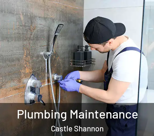  Plumbing Maintenance Castle Shannon