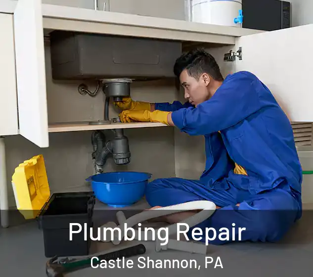  Plumbing Repair Castle Shannon, PA