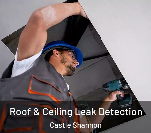  Roof & Ceiling Leak Detection Castle Shannon
