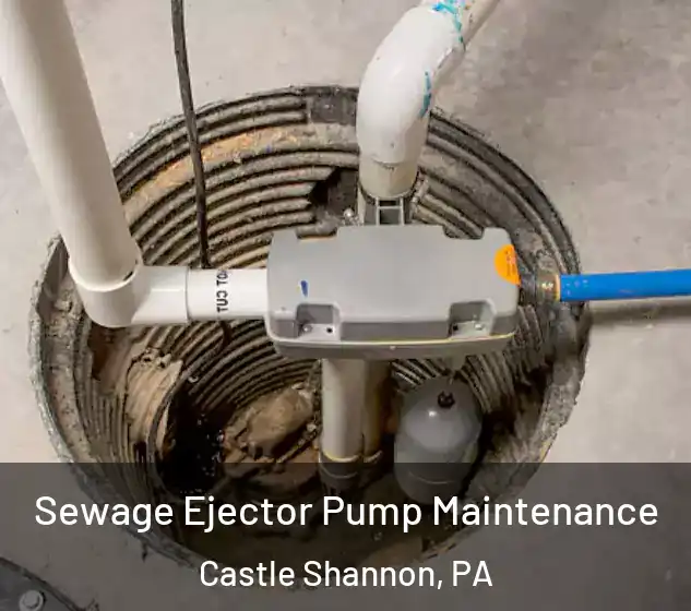  Sewage Ejector Pump Maintenance Castle Shannon, PA