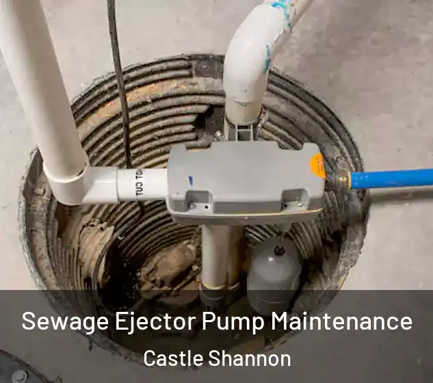  Sewage Ejector Pump Maintenance Castle Shannon
