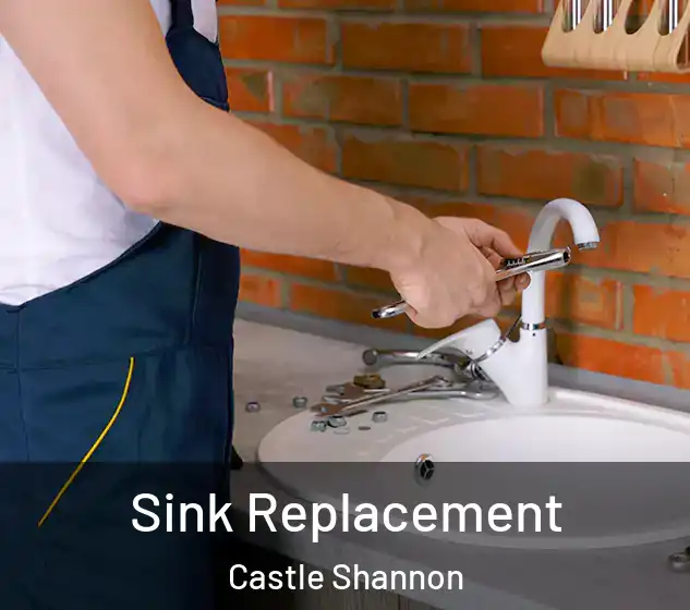  Sink Replacement Castle Shannon