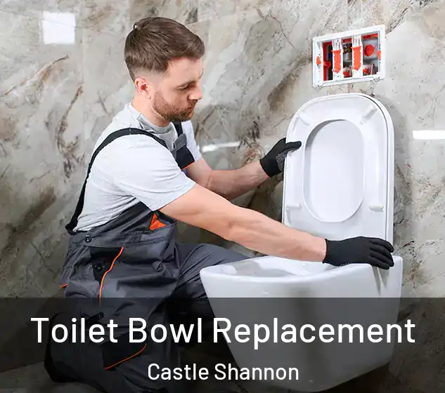 Toilet Bowl Replacement Castle Shannon