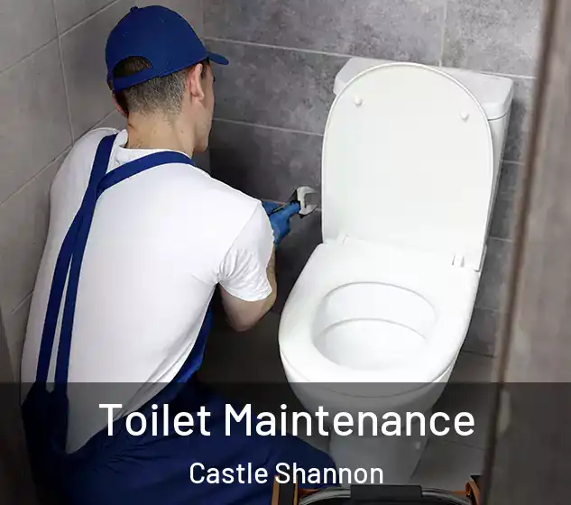  Toilet Maintenance Castle Shannon