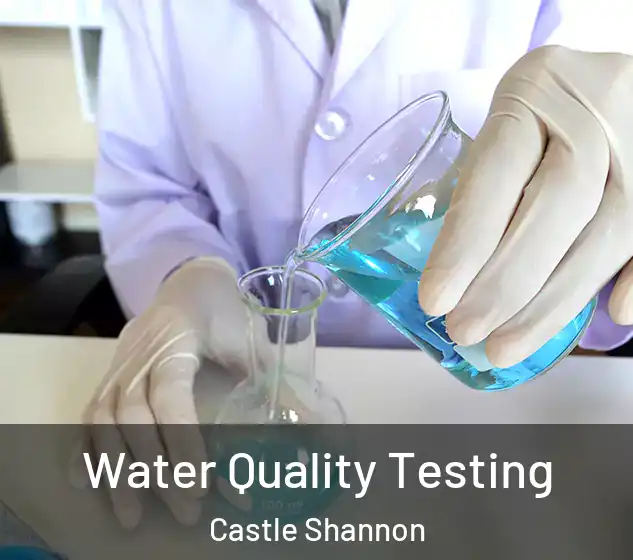  Water Quality Testing Castle Shannon